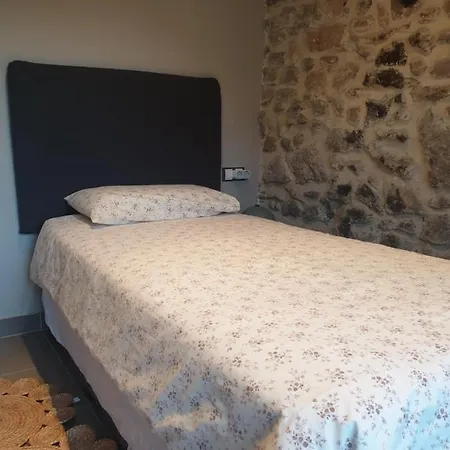 Appartement Apartament Centric A Ripoll